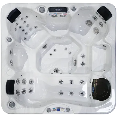 Avalon EC-849L hot tubs for sale in Laredo