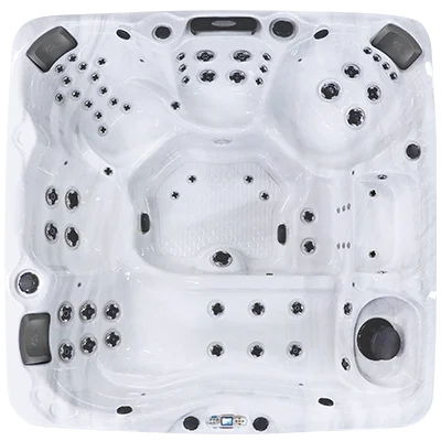 Avalon EC-867L hot tubs for sale in Laredo